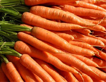 Біодобриво «добриво»